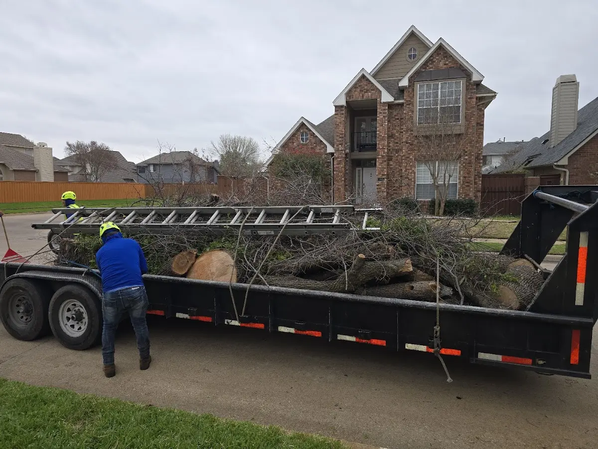 Expert Lot Clearing with proper safety equipment in Marfa